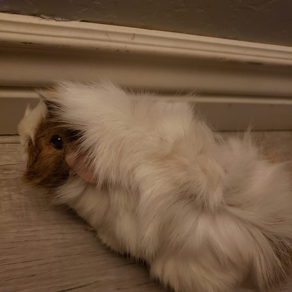 Fluff