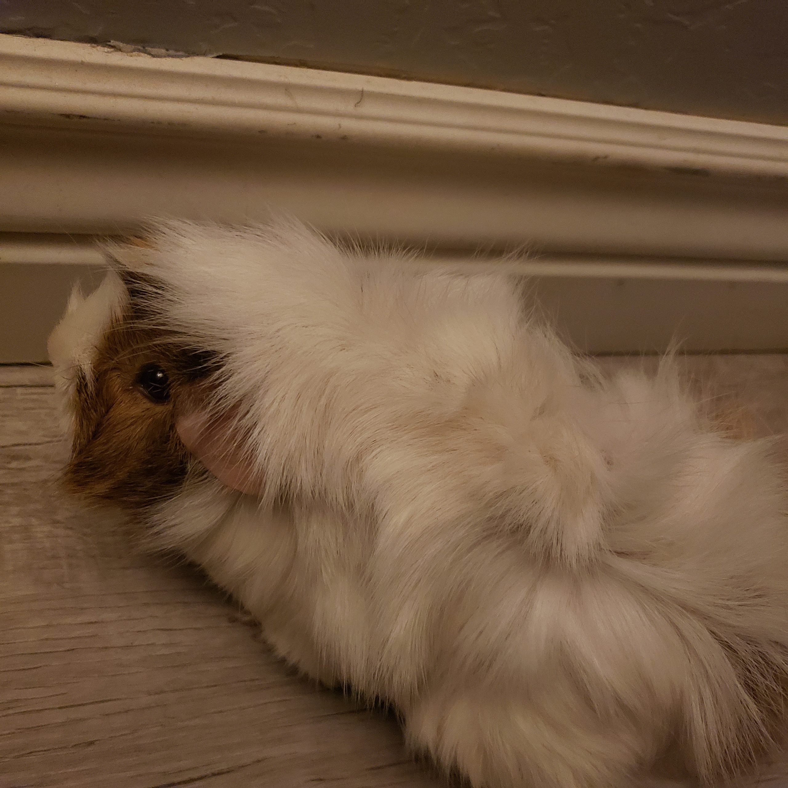 Fluff