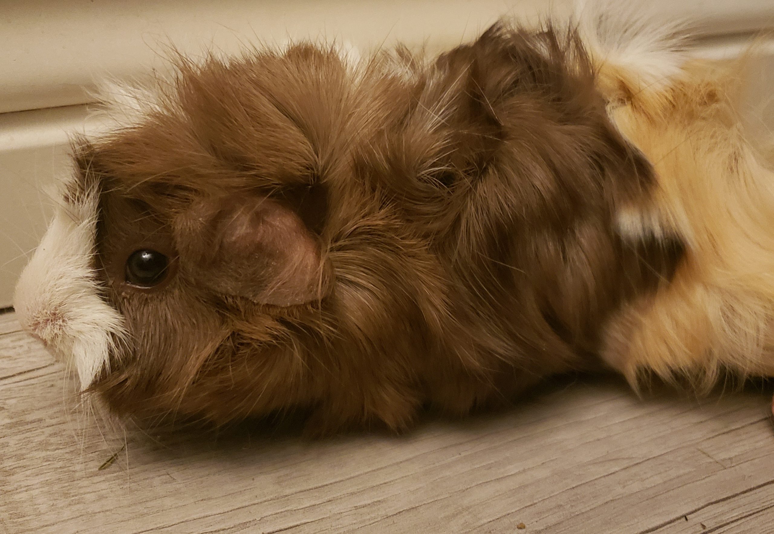 Caramel