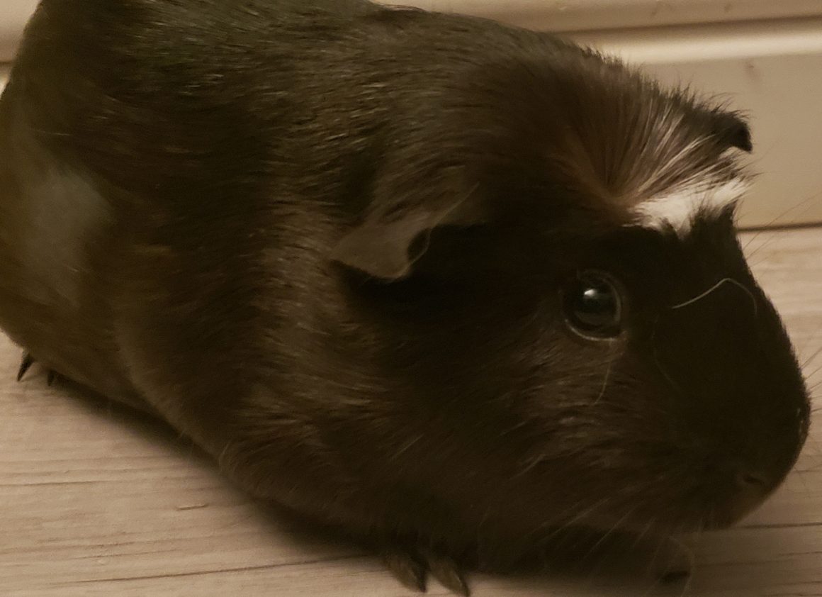 Nuala