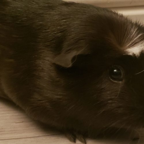 Nuala